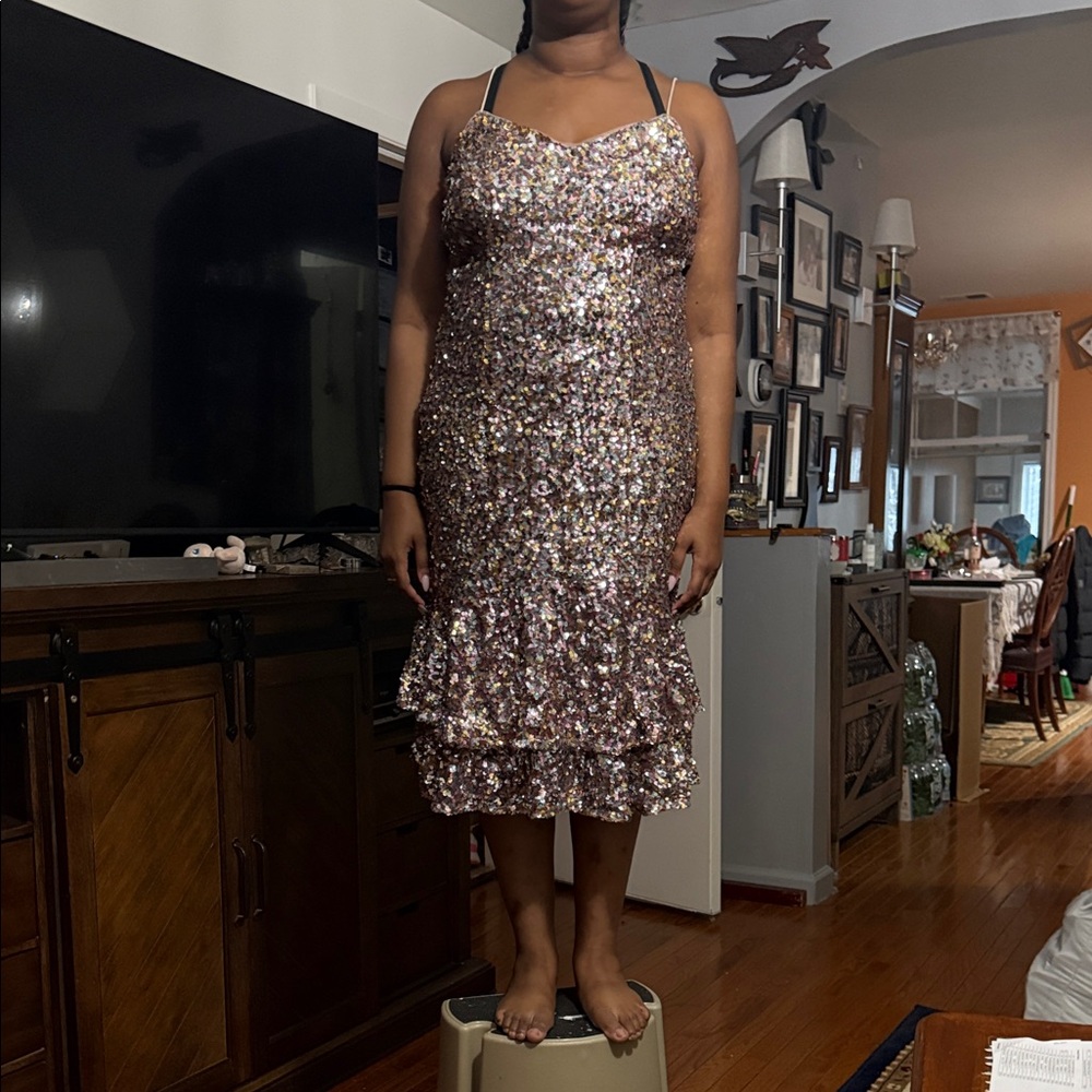 Adrianna Papell Multi-Color Sequin Midi Dress